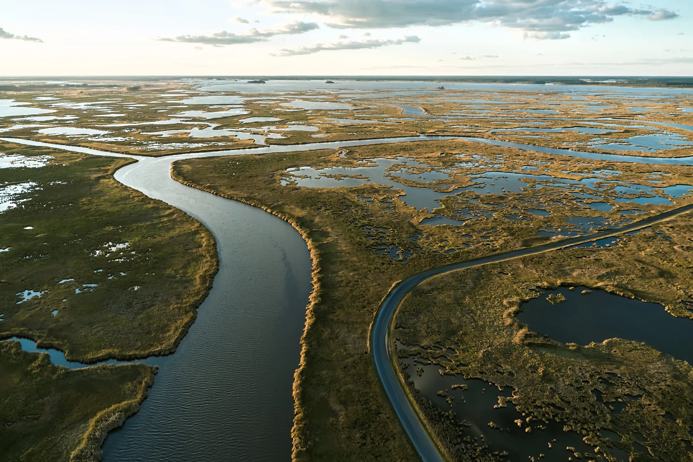 Trump’s EPA Redefines ‘Water’ to Deregulate Wetlands—Because Swamps Don’t Vote