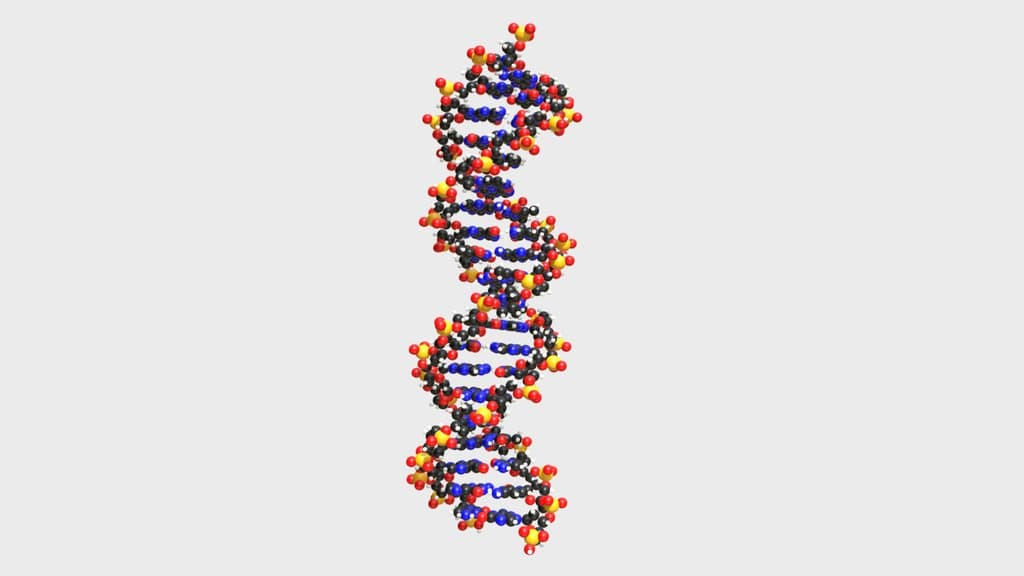 At the heart of every cell, snack, seed, and strand of DNA are carbon-based molecules playing molecular Tetris.