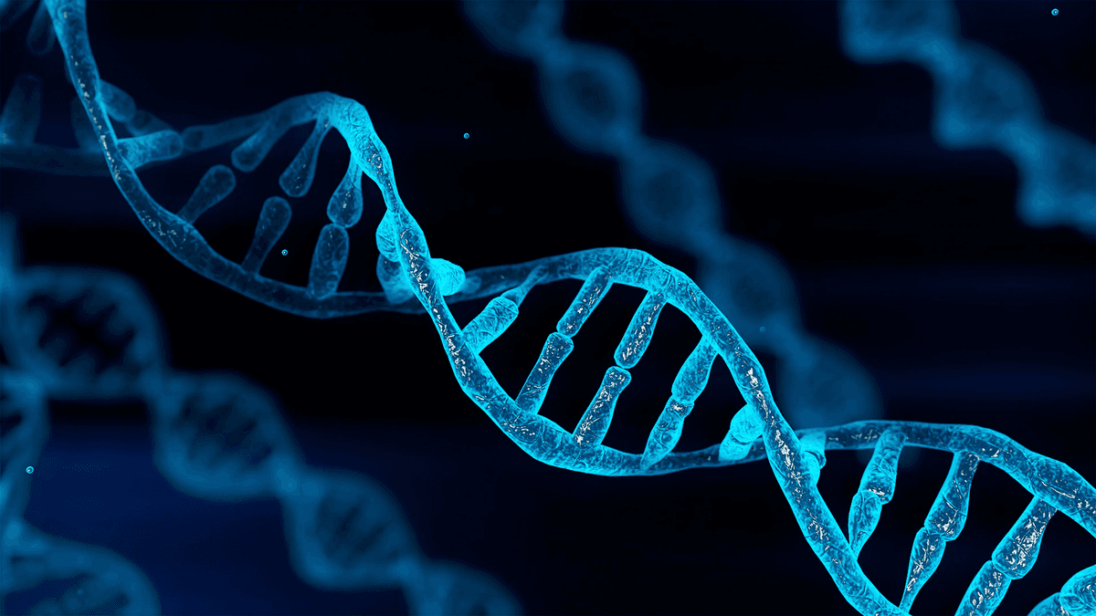 DNA: The Letters That Define Life