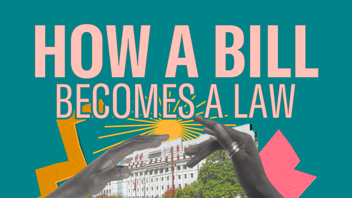 Explore the legislative process of the United States.