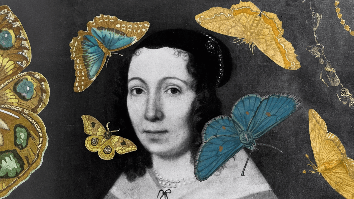 Maria Sibylla Merian sketching butterflies, caterpillars, and host plants from life.