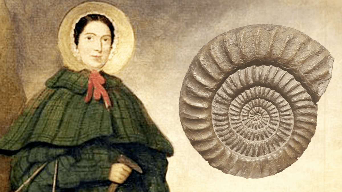 Mary Anning never had a university degree, wealthy sponsors, or even recognition in her lifetime—but her curiosity cracked open Earth's ancient story.