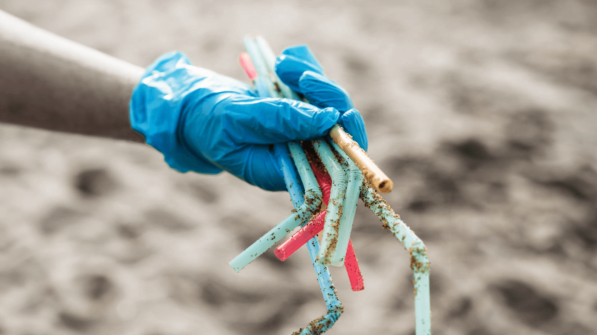 Should Plastic Straws Be Banned? Convenience, Responsibility, and Environmental Impact