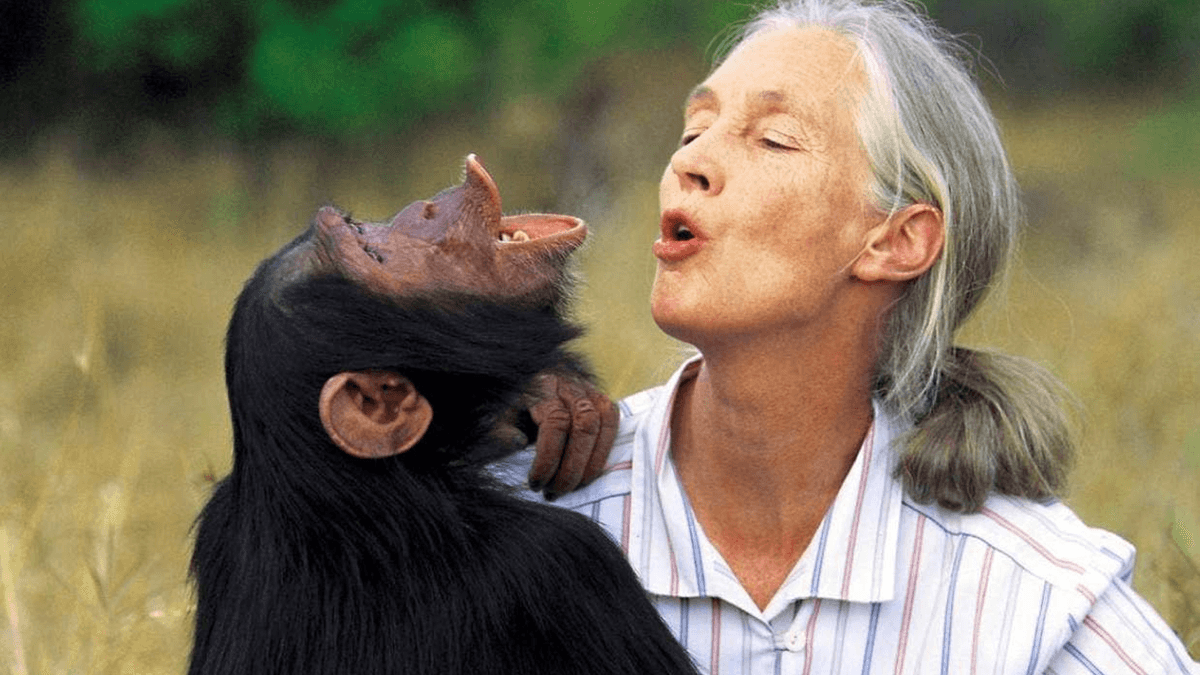Jane Goodall